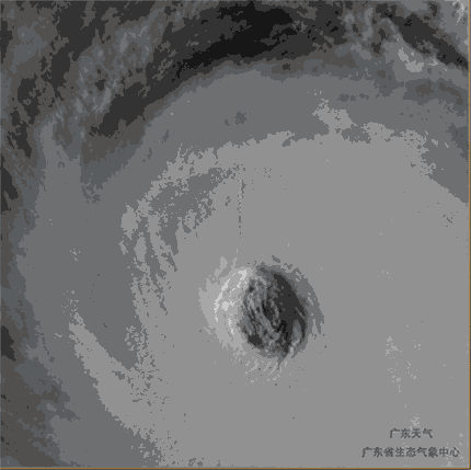 当全国都在担心广东安全，广东人民却在忙着拍照片写段子发朋友圈