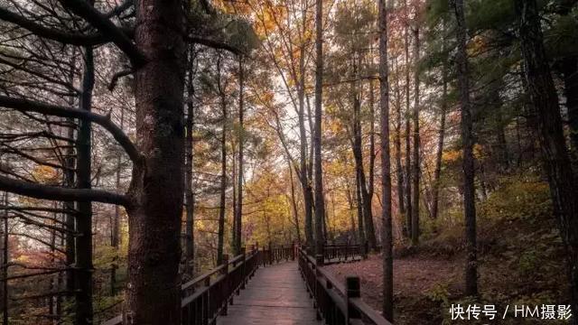 秋天洛阳12处景点，我劝你千万不要来，太美了