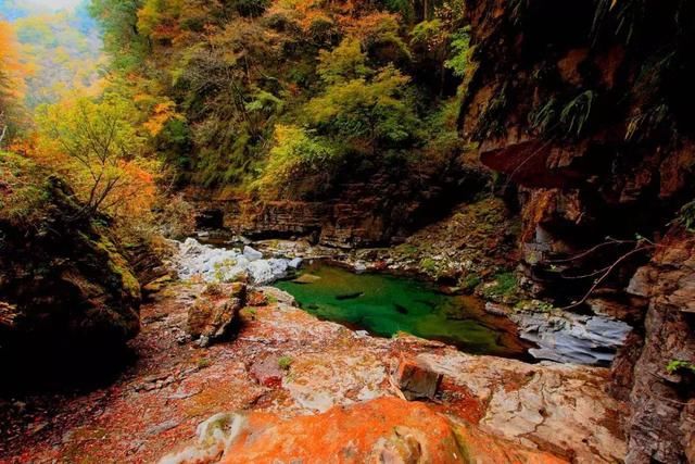 赏红叶的季节到了，南充周边除了光雾山这里的也很美