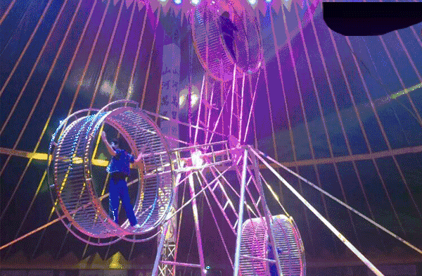 无长假不可怕!周末出发,前往广东的秘密花海!错过再等一年