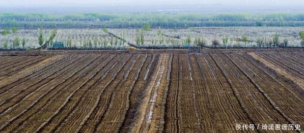 中国最特殊的一群农民，被武警24小时持枪看守，种出的东西不愁卖