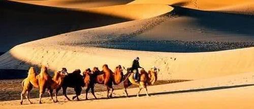 在沙漠探险时，即便是非常口渴，遇到地上的西瓜也要忍着，不能碰