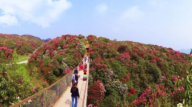 今年夏天,贵州突如其来地火了!