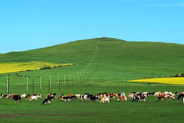 世界上最好的草原：总面积10万平方千米，也是中国最大的草原