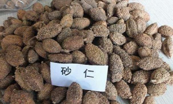  【野果】一种味道奇香的野果，人们把它当成香料，如今却是珍贵