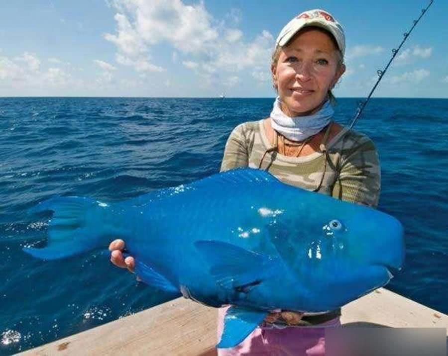 7张没有P过,但“难以置信”的照片,最后一张摄影师拍完选择自杀