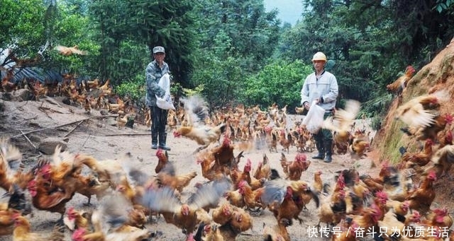  大国|中国有7亿农民，农业生产大国，为啥每年还需要从国外进口