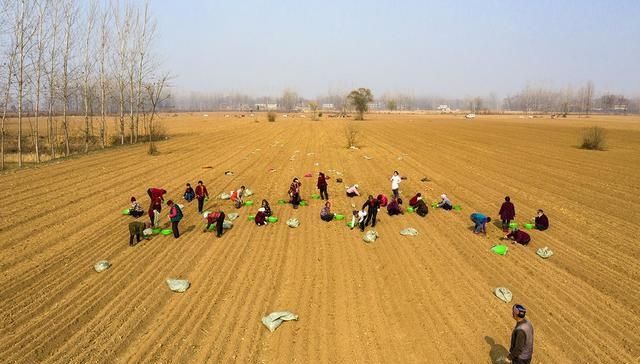  当床■大田地里生火做饭，农民打工日挣百元：天当被子地当床