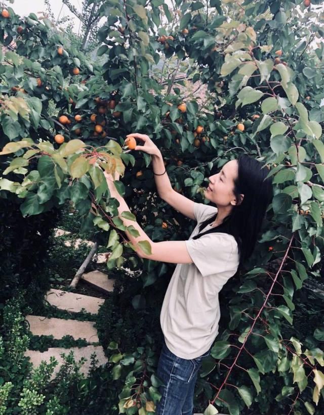 素颜晒照，随地而坐，这也就是董洁行，素颜都老可爱了