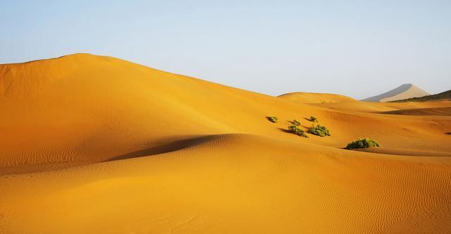 绿洲才是气候的异类?为何印度西部会有20万平方公里的塔尔沙漠?