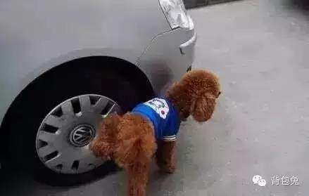 流传在朋友圈的7大汽车谣言，你还信？