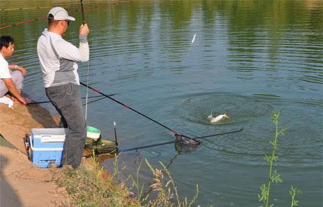  『导致空竿』从空杆到狂拉，只隔这四大步骤的距离！