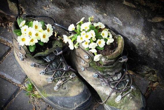 女子收集牛仔裤，在牛仔裤里面种花草，朋友看到后不敢去她家做客
