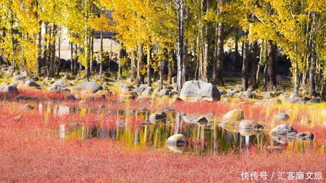 稻城亚丁香巴拉之魂，从全世界路过，忘不掉的只有你