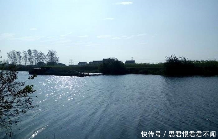 『食物』清明前后钓鱼忙,为何你还是钓不到鲤鱼?!可能你的选位有问题!