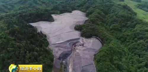  [垃圾分类]垃圾分类，上海凉了？成都咋个整？