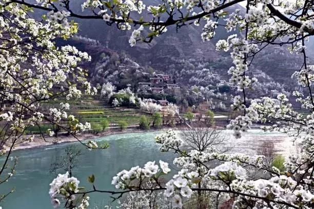 三月,去看中国最美春光