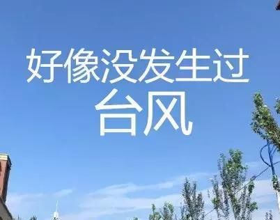 利奇马没走！今夜有暴风雨！还加码一个新台风“罗莎”……