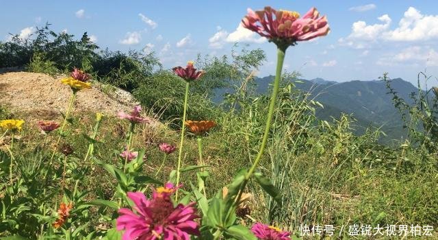 云台山踏秋——立秋后的那一抹姹紫嫣红