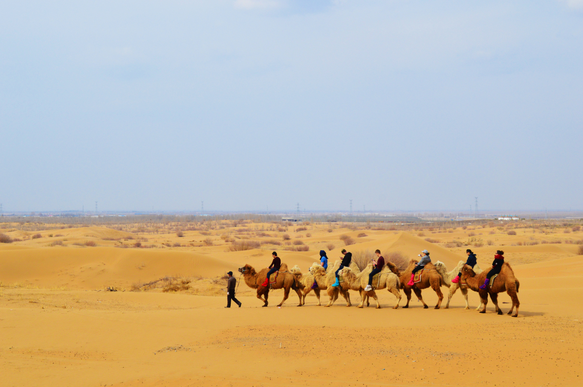 中国式奇迹：村民在电站养鸡羊，比上海大3倍的沙漠1/3变成绿洲