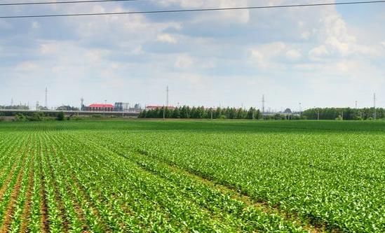 不想辛辛苦苦出去打工，那就选择这几种创业路子，让你轻松赚大钱