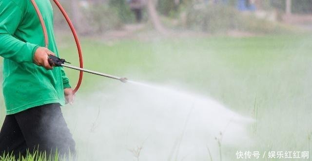 现在农村种地大户，到底挣不挣钱，农村小伙精心分析，结果很意外