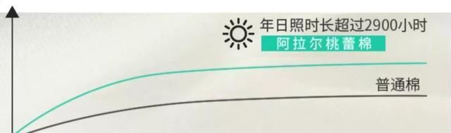  『纯棉』纯棉和全棉傻傻分不清楚 都有哪些区别