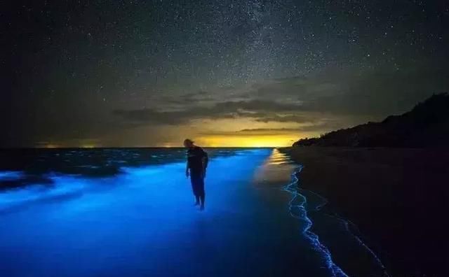 名副其实超值海岛！20元吃大虾，人均200住酒店，顺便考下潜水证