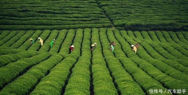 日本游客在中国旅游时,都会买什么样的特产?导游:主要有3样!