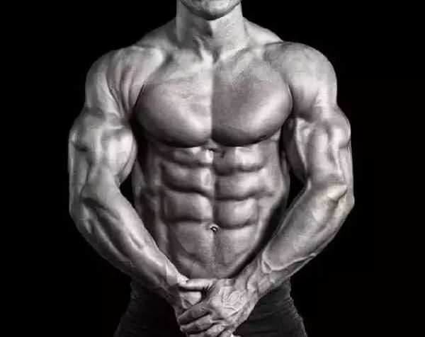 不同体脂率的标准腰围对照表,快来测试