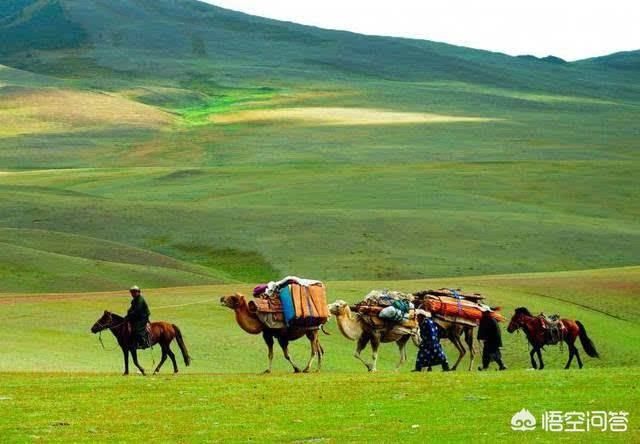 蒙古的军队伙食怎么样？