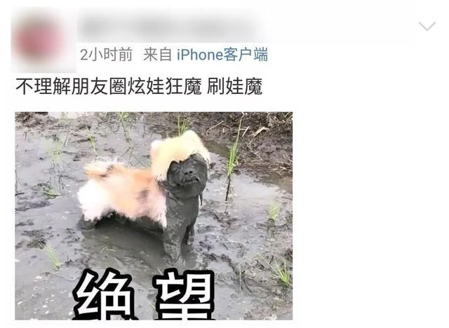 怎么就发朋友圈了