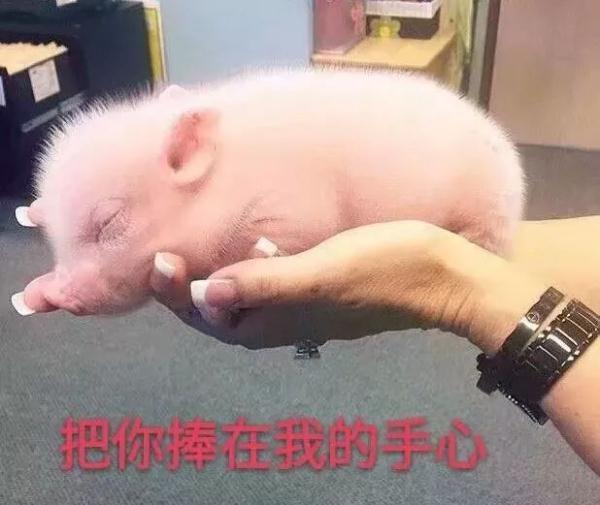 紧急！冷空气明日杀到！珠海再迎速冻模式！春节很多人遇到这种事
