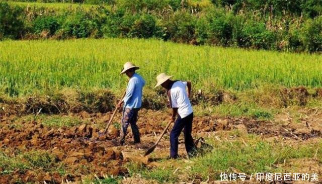  【六十岁】农村承包地期限又延长30年，有些人直到五六十岁都没