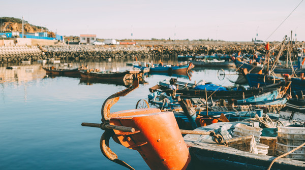 中国广场数量最多的城市,现有102座广场,被誉为北方明珠