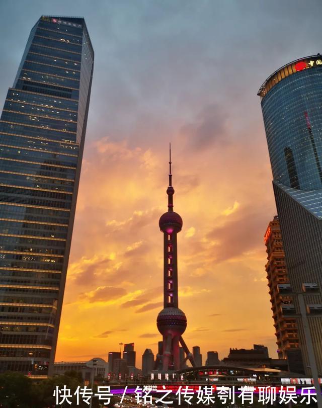 平均气温大于22℃:昨天,上海因为它登上热搜!美到窒息……