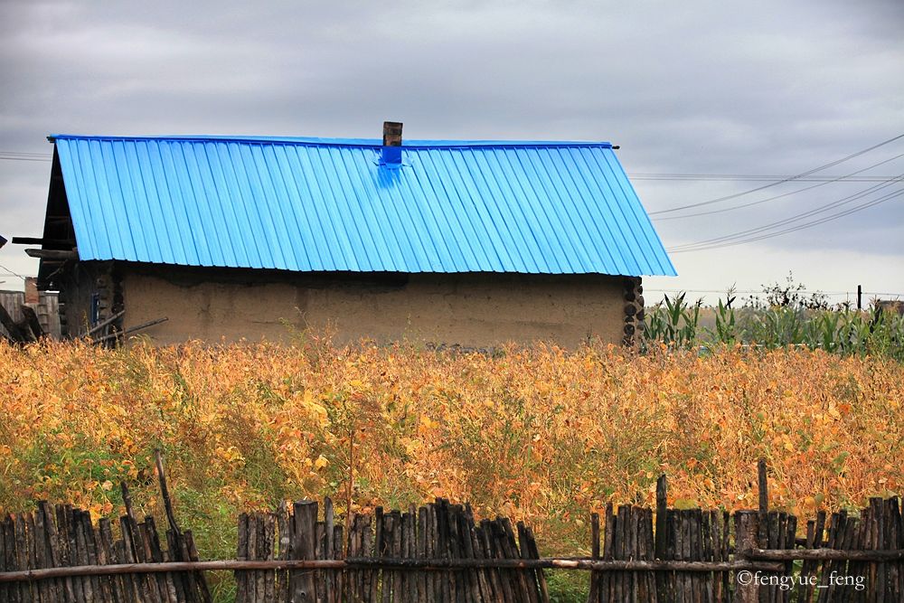 大兴安岭特大火灾澳洲火灾