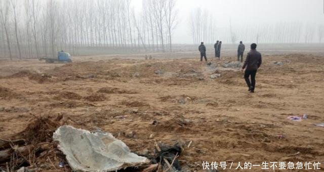 农村出现“四大怪”，专家不解，老农一席话道出了其中的原因