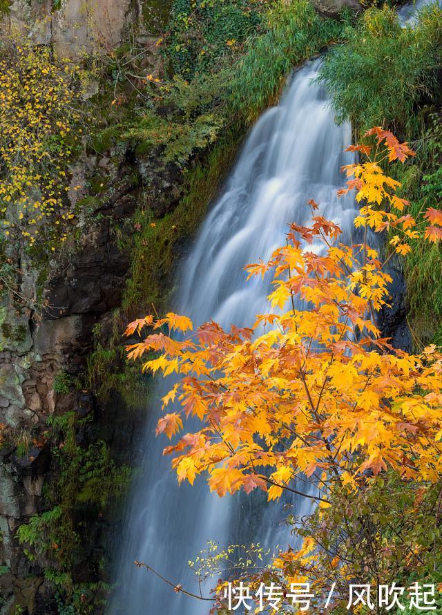 贵州不仅有黄果树,这十大瀑布都值得看,最后一个是负氧离子之最