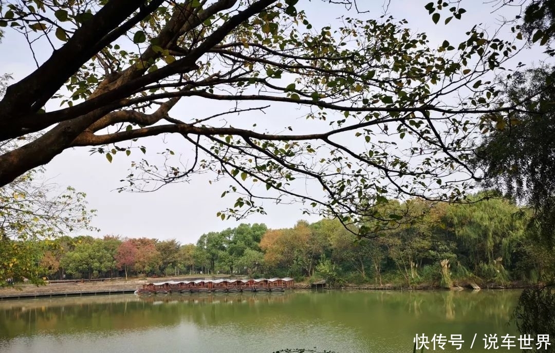 秋访西溪|绝美湿地,水上人家