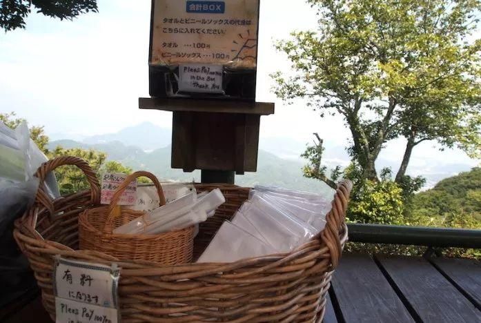 去了伊豆，才知道日本的美可以这样沁人心脾