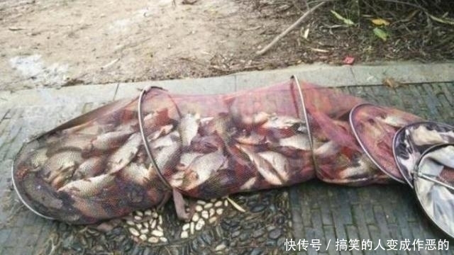 「庆幸」天气热,鱼口就不好了?很庆幸我有这破解招式,不信你就试一试