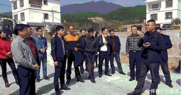 农村要取消村长和村官? 以后农村的相关事务, 将由这些部门负责!