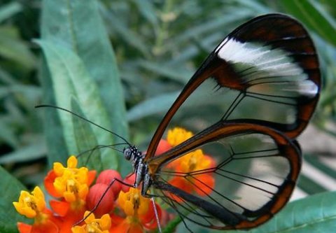 8张不寻常的照片，证明世界还有许多未知