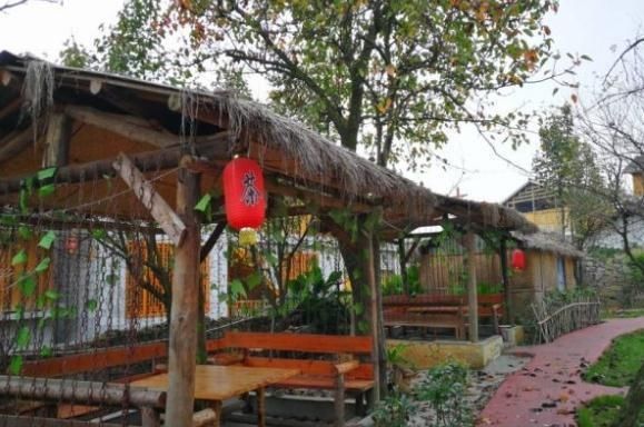  【赚钱】在农村干什么能赚钱？这三个行业比打工更好