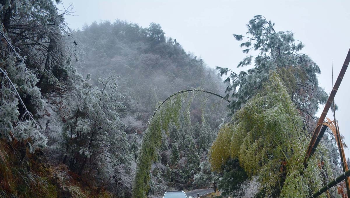 安徽安庆：北风呼呼吹，看山村“炸”成啥样