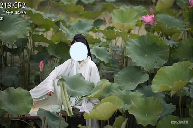 从前期到后期，超详细的清雅古风人像教程就在这里！