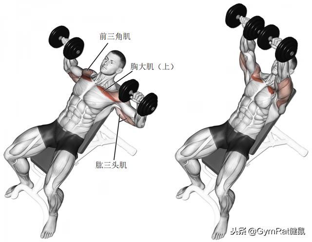 如何练胸肌下部饱满 t0133de992c630fecd0.jpg