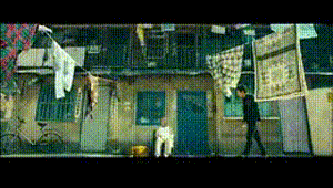 曝光|庞氏骗局“健康猫”疑似崩盘,反咬一口指责受害私教诈骗