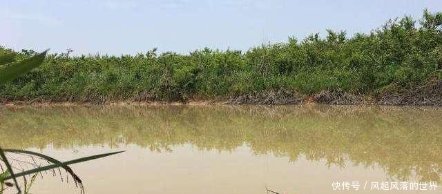  『水温降低』同样在下雨天钓鱼，为何别人收获很好，你却钓不到鱼！